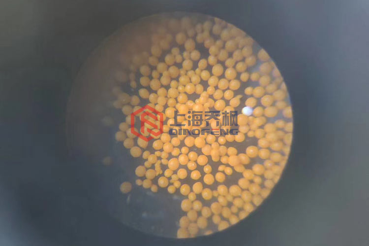 香蕉视频APP在线观看都有哪些問題需要處理？